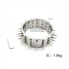 Stachelhalsband