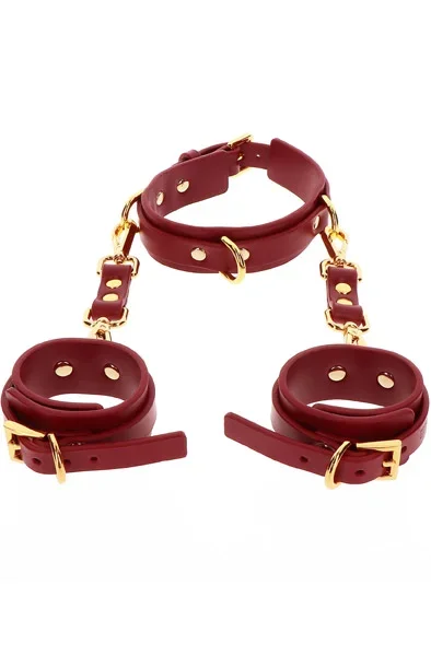 Taboom D-Ring Halsband & Handfesseln