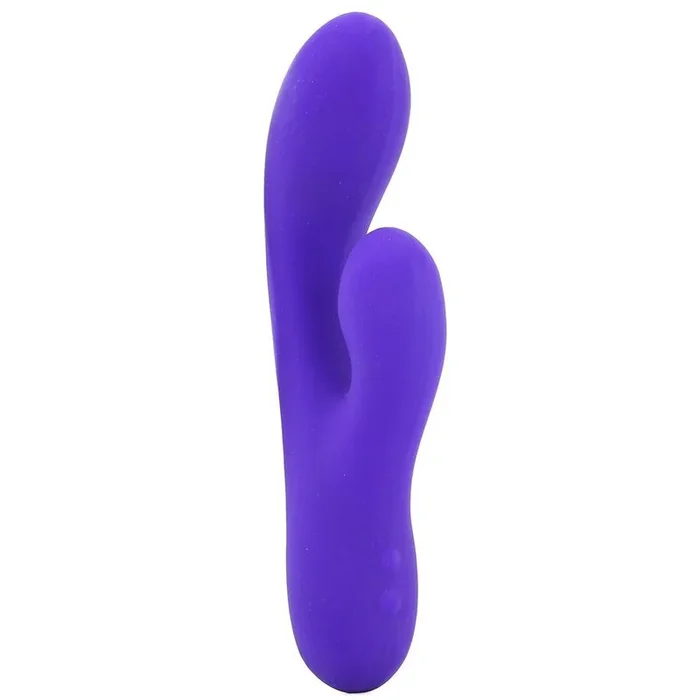Vanity Vs6 Vibe in Purple