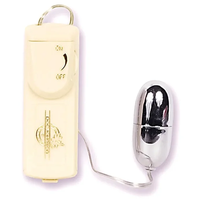 Vibrating Bullet Vibe in Silver