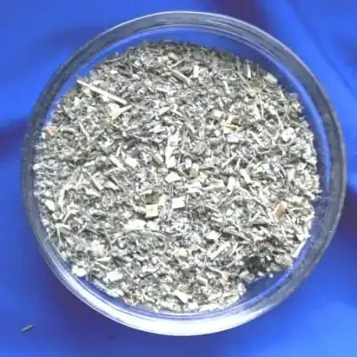 Wermut (Artemisia absinthium)