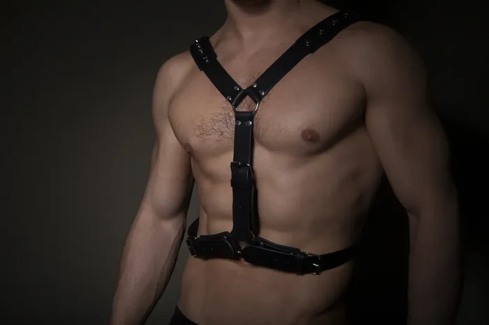 Y-Harness